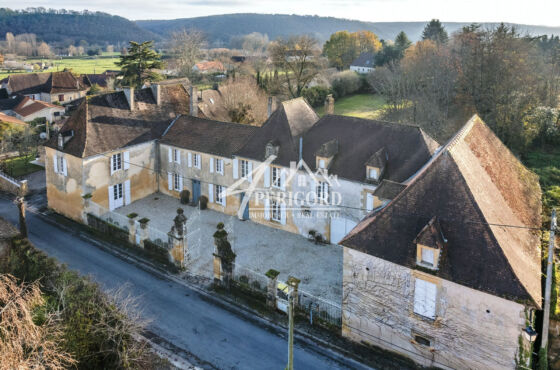 Gentilhommière de village du XVIIème siècle d'environ 435m2
